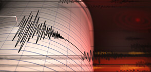Регистрираха трус от 7,1 в Атлантическия океан