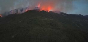 Wildfire in the Rhodopes continues for 11th day