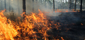 Пожарът над родопското село Югово е локализиран