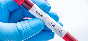 Ръст на новозаразените и починалите от COVID-19 у нас