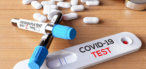 Сръбски учени работят по антигенен тест и лекарство срещу COVID-19