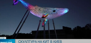 Направиха скулптура на кит от 1 тон пластмаса (ВИДЕО)