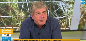 Мажд Алгафари: Оградата по границата с Турция трябва да бъде изградена наново
