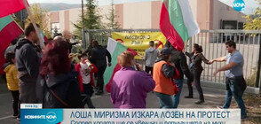 Жители на Лозен организираха протест срещу фирма за ларви
