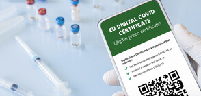 РАЗСЛЕДВАНЕ: NOVA разкри мащабна схема за издаване на зелени сертификати