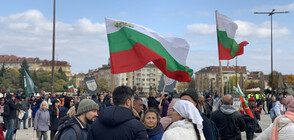Пореден протест срещу зелените сертификати в София (СНИМКИ)