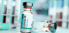 МЗ: Хората с хронични и автоимунни заболявания може да се ваксинират срещу COVID-19