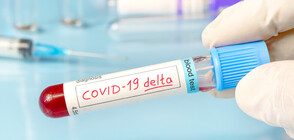 4922 new COVID-19 cases reported