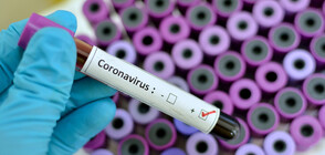 Над 250 милиона заразени с COVID-19 по света