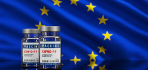 ЕК: Ваксинационната кампания в ЕС е успешна, осигурени са допълнителни дози
