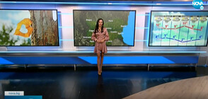 Прогноза за времето (15.11.2021 - обедна)