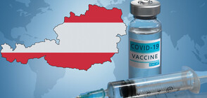 Какви са реакциите в Австрия след решението за задължителна ваксинация