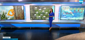 Прогноза за времето (23.11.2021 - обедна)