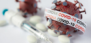 2018 new coronavirus cases in Bulgaria