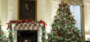 ДАРОВЕ ОТ СЪРЦЕ: Доброволци изработиха коледната украса за Белия дом (СНИМКИ)
