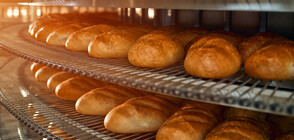 Експерт: Хляб ще има за всяка българска трапеза