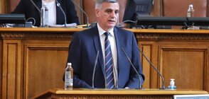 Янев: Позицията за Северна Македония е постоянна и неизменна