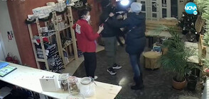 Защо непознати избягаха с куче, без да платят лечението му