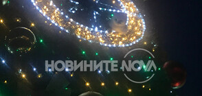 Спасиха коте, качило се на коледната елха в Казанлък (ВИДЕО+СНИМКИ)