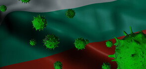 Здравното министерство с важни препоръки за празничните дни