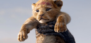 Премиера по NOVA: „Цар Лъв”