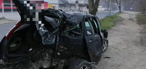 Кола се вряза в магазин за автомобили в Пловдив, шофьорът е задържан