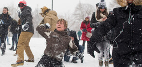 ЗИМНО ЗАБАВЛЕНИЕ: Масов бой със снежни топки във Вашингтон