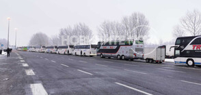 Български автобуси са блокирани от часове на сръбско-унгарската граница (ВИДЕО+СНИМКИ)