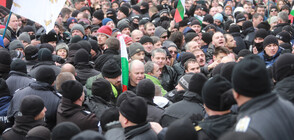 Protesters against green certificate try to storm Bulgarian Parliament