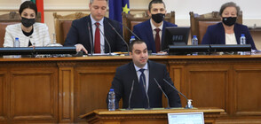 ПП за протеста: Безразсъдна хулиганска проява