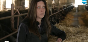 Да промениш съдбата си: Жена се грижи сама за две животновъдни стопанства и три деца