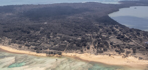 След бедствието: Тонга страда от липса на вода