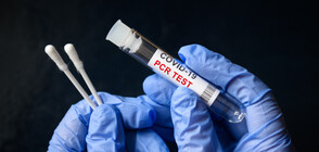 Швеция отменя PCR теста за влизане в страната