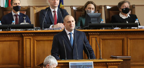 Радев: В България е налице антимафиотски консенсус
