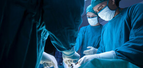 Учени са трансплантирали бъбреци от прасе на мъж в мозъчна смърт