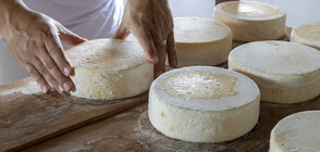 Производител: Цената на масовото сирене може да скочи и до 100%