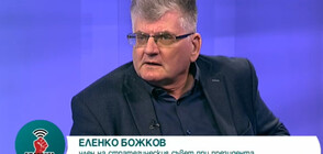 Божков: Обмислям предложение за президентско вето на намаляването на състава на КЕВР