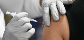 МАЛКИЯТ ПАРИЖ: Как във врачанското село Тишевица приемат ваксинациите