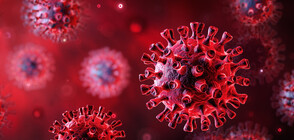 СЗО: Над 360 милиона са случаите на коронавирус в света