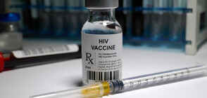 Учени започват клинични изпитвания върху хора на ваксина срещу ХИВ