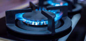 Price of natural gas in Bulgaria reduced by over 17%