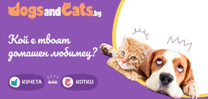 Нет Инфо стартира платформата DogsАndCats.bg