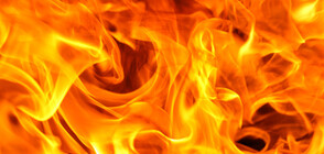 Пожар избухна в зеленчуковата борса край Петрич (ВИДЕО)