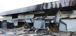 Защо за трети път пожар горя в зеленчукова борса в Кърналово (ВИДЕО+СНИМКИ)