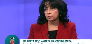 Теменужка Петкова: Правителството овладява КЕВР, недопустима е намеса в работата ѝ