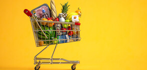 ЕКСПЕРИМЕНТ НА NOVA: Колко храни можем да купим със средна заплата у нас и в Европа