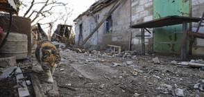 ОССЕ регистрира над 3000 нарушения на примирието в Източна Украйна