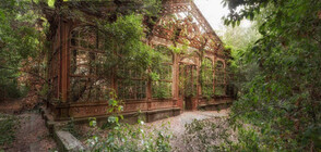 Фотограф вдъхва нов живот на изоставени сгради (ГАЛЕРИЯ)