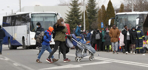 ИСТОРИИ ОТ ГРАНИЦАТА: Български автобуси извозват безплатно бежанци