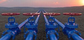 Украйна забрани временно износа на газ